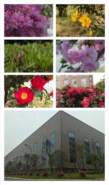 yl6809永利皇宫四季 